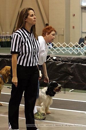 Dawg Derby Flyball Tournement<br />July 12<br />Classic Center<br />Athens, Ga