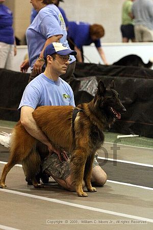Dawg Derby Flyball Tournement<br />July 12<br />Classic Center<br />Athens, Ga