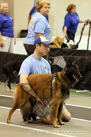 Dawg Derby Flyball Tournement<br />July 12<br />Classic Center<br />Athens, Ga