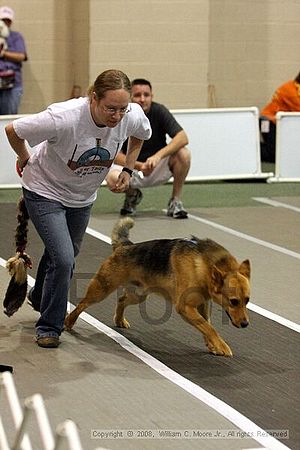 Dawg Derby Flyball Tournement<br />July 12<br />Classic Center<br />Athens, Ga