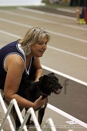 Dawg Derby Flyball Tournement<br />July 12<br />Classic Center<br />Athens, Ga