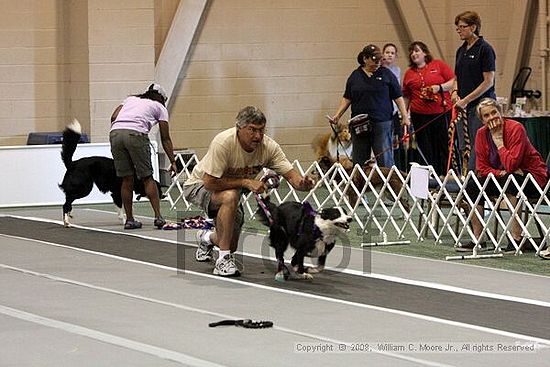Dawg Derby Flyball Tournement<br />July 12<br />Classic Center<br />Athens, Ga