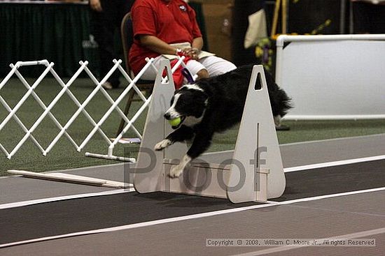Dawg Derby Flyball Tournement<br />July 12<br />Classic Center<br />Athens, Ga