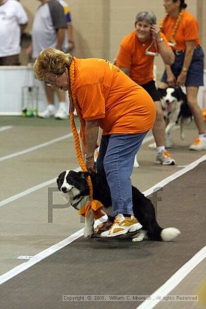 Dawg Derby Flyball Tournement<br />July 12<br />Classic Center<br />Athens, Ga