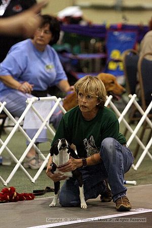 Dawg Derby Flyball Tournement<br />July 12<br />Classic Center<br />Athens, Ga