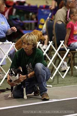 Dawg Derby Flyball Tournement<br />July 12<br />Classic Center<br />Athens, Ga