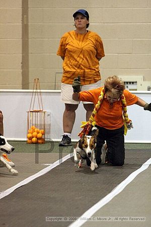 Dawg Derby Flyball Tournement<br />July 12<br />Classic Center<br />Athens, Ga