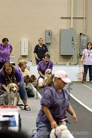 Dawg Derby Flyball Tournement<br />July 12<br />Classic Center<br />Athens, Ga