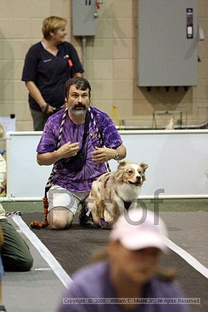 Dawg Derby Flyball Tournement<br />July 12<br />Classic Center<br />Athens, Ga