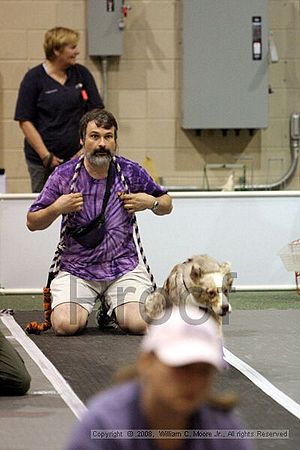 Dawg Derby Flyball Tournement<br />July 12<br />Classic Center<br />Athens, Ga