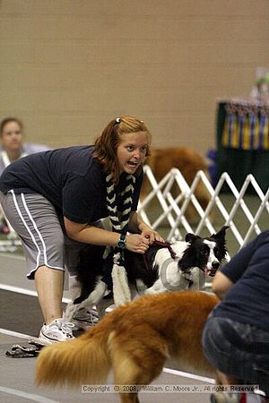 Dawg Derby Flyball Tournement<br />July 12<br />Classic Center<br />Athens, Ga