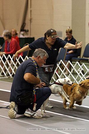 Dawg Derby Flyball Tournement<br />July 12<br />Classic Center<br />Athens, Ga