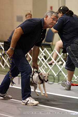 Dawg Derby Flyball Tournement<br />July 12<br />Classic Center<br />Athens, Ga