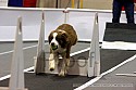 img_4586_thm.jpg