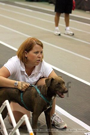 Dawg Derby Flyball Tournement<br />July 12<br />Classic Center<br />Athens, Ga
