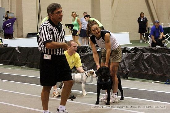 Dawg Derby Flyball Tournement<br />July 12<br />Classic Center<br />Athens, Ga