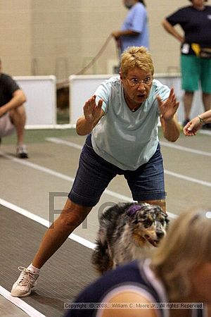 Dawg Derby Flyball Tournement<br />July 12<br />Classic Center<br />Athens, Ga