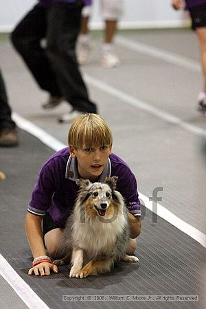 Dawg Derby Flyball Tournement<br />July 12<br />Classic Center<br />Athens, Ga