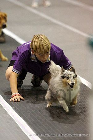 Dawg Derby Flyball Tournement<br />July 12<br />Classic Center<br />Athens, Ga