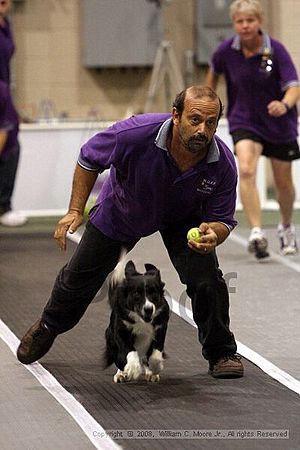 Dawg Derby Flyball Tournement<br />July 12<br />Classic Center<br />Athens, Ga