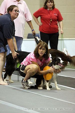Dawg Derby Flyball Tournement<br />July 12<br />Classic Center<br />Athens, Ga