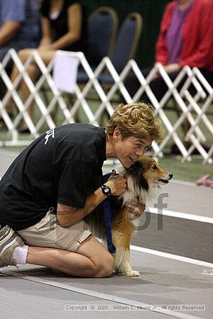 Dawg Derby Flyball Tournement<br />July 12<br />Classic Center<br />Athens, Ga