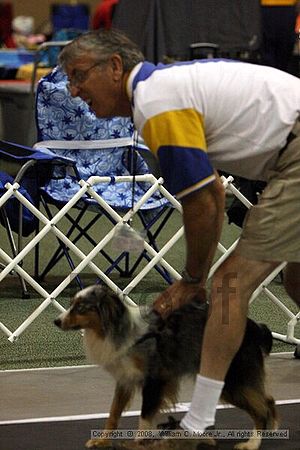 Dawg Derby Flyball Tournement<br />July 12<br />Classic Center<br />Athens, Ga