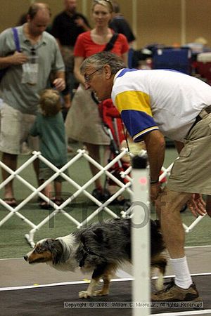 Dawg Derby Flyball Tournement<br />July 12<br />Classic Center<br />Athens, Ga