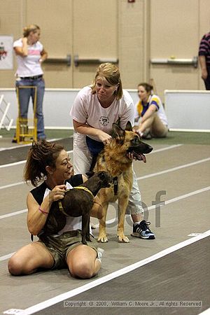 Dawg Derby Flyball Tournement<br />July 12<br />Classic Center<br />Athens, Ga