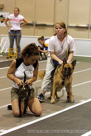 Dawg Derby Flyball Tournement<br />July 12<br />Classic Center<br />Athens, Ga