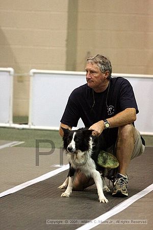 Dawg Derby Flyball Tournement<br />July 12<br />Classic Center<br />Athens, Ga