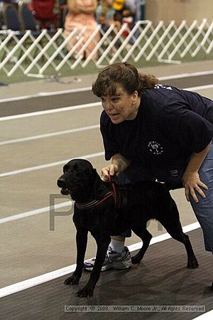 Dawg Derby Flyball Tournement<br />July 12<br />Classic Center<br />Athens, Ga