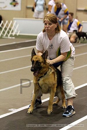 Dawg Derby Flyball Tournement<br />July 12<br />Classic Center<br />Athens, Ga