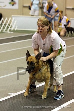Dawg Derby Flyball Tournement<br />July 12<br />Classic Center<br />Athens, Ga