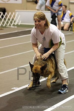 Dawg Derby Flyball Tournement<br />July 12<br />Classic Center<br />Athens, Ga