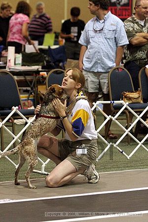 Dawg Derby Flyball Tournement<br />July 12<br />Classic Center<br />Athens, Ga