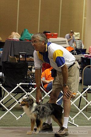 Dawg Derby Flyball Tournement<br />July 12<br />Classic Center<br />Athens, Ga