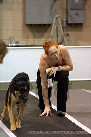 Dawg Derby Flyball Tournement<br />July 12<br />Classic Center<br />Athens, Ga