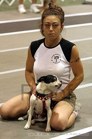 Dawg Derby Flyball Tournement<br />July 12<br />Classic Center<br />Athens, Ga