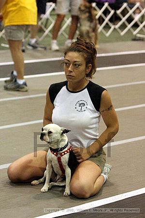 Dawg Derby Flyball Tournement<br />July 12<br />Classic Center<br />Athens, Ga
