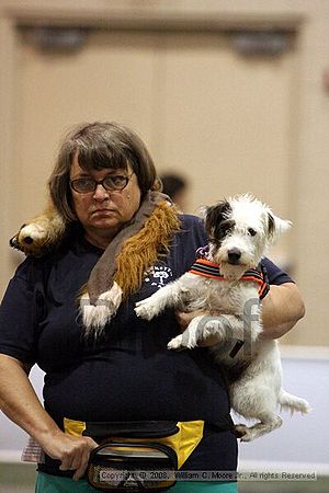 Dawg Derby Flyball Tournement<br />July 12<br />Classic Center<br />Athens, Ga
