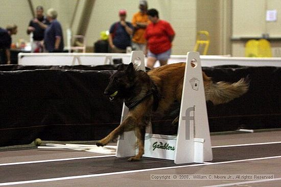 Dawg Derby Flyball Tournement<br />July 12<br />Classic Center<br />Athens, Ga