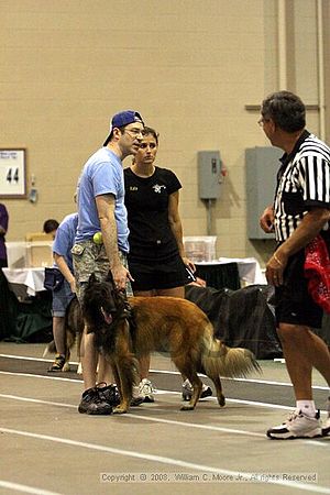 Dawg Derby Flyball Tournement<br />July 12<br />Classic Center<br />Athens, Ga