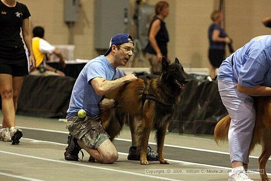 Dawg Derby Flyball Tournement<br />July 12<br />Classic Center<br />Athens, Ga