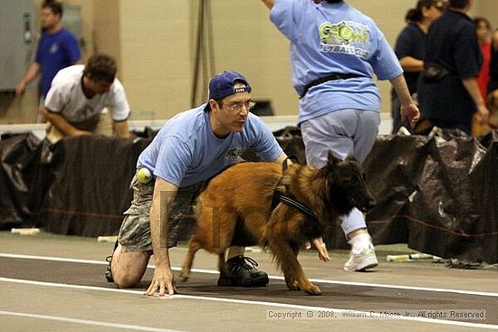 Dawg Derby Flyball Tournement<br />July 12<br />Classic Center<br />Athens, Ga