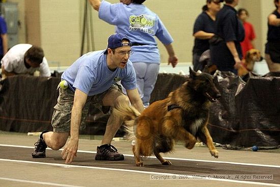 Dawg Derby Flyball Tournement<br />July 12<br />Classic Center<br />Athens, Ga