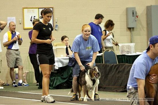 Dawg Derby Flyball Tournement<br />July 12<br />Classic Center<br />Athens, Ga