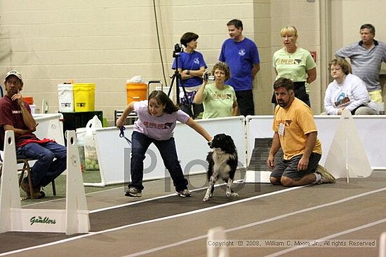 Dawg Derby Flyball Tournement<br />July 12<br />Classic Center<br />Athens, Ga