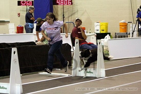 Dawg Derby Flyball Tournement<br />July 12<br />Classic Center<br />Athens, Ga