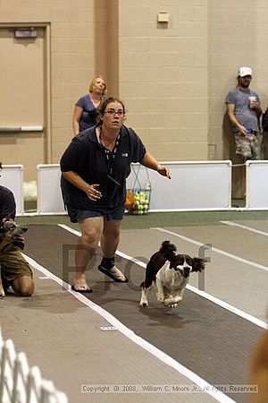 Dawg Derby Flyball Tournement<br />July 12<br />Classic Center<br />Athens, Ga